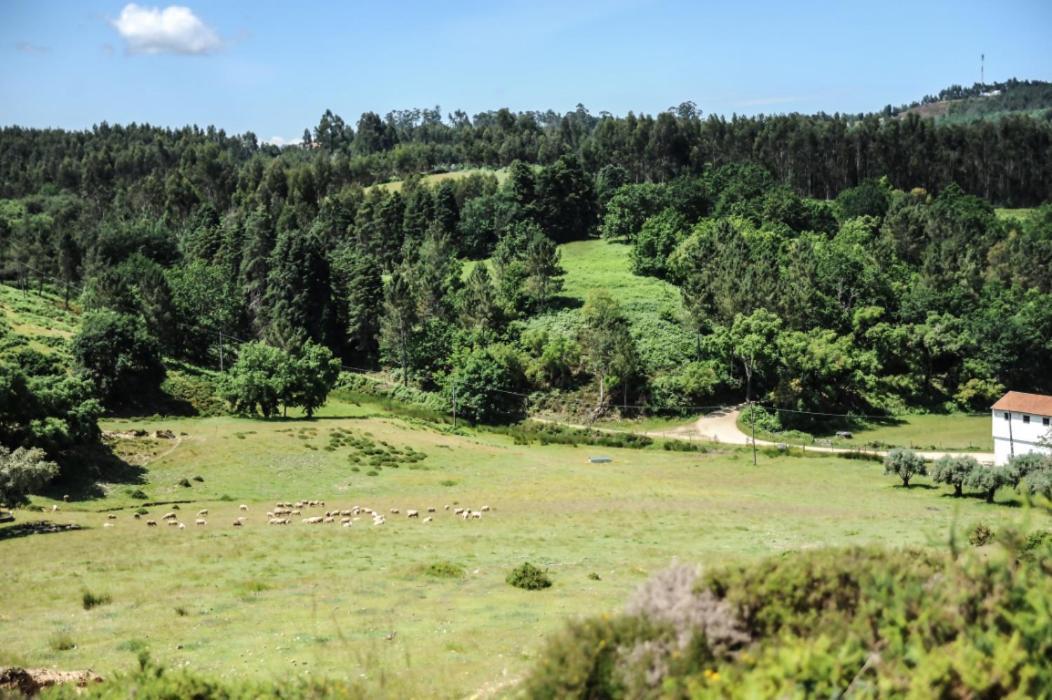 Vumba Agroturismo Arganil Exterior photo